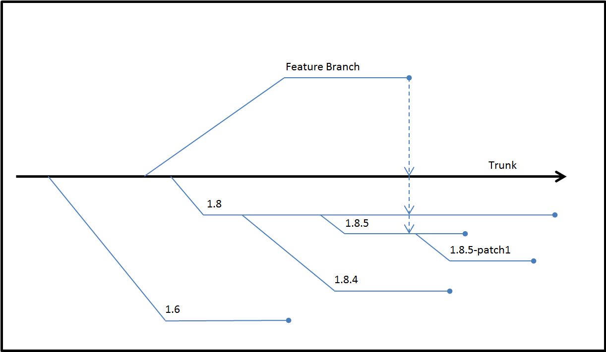 The trunk, release branches, and feature branches